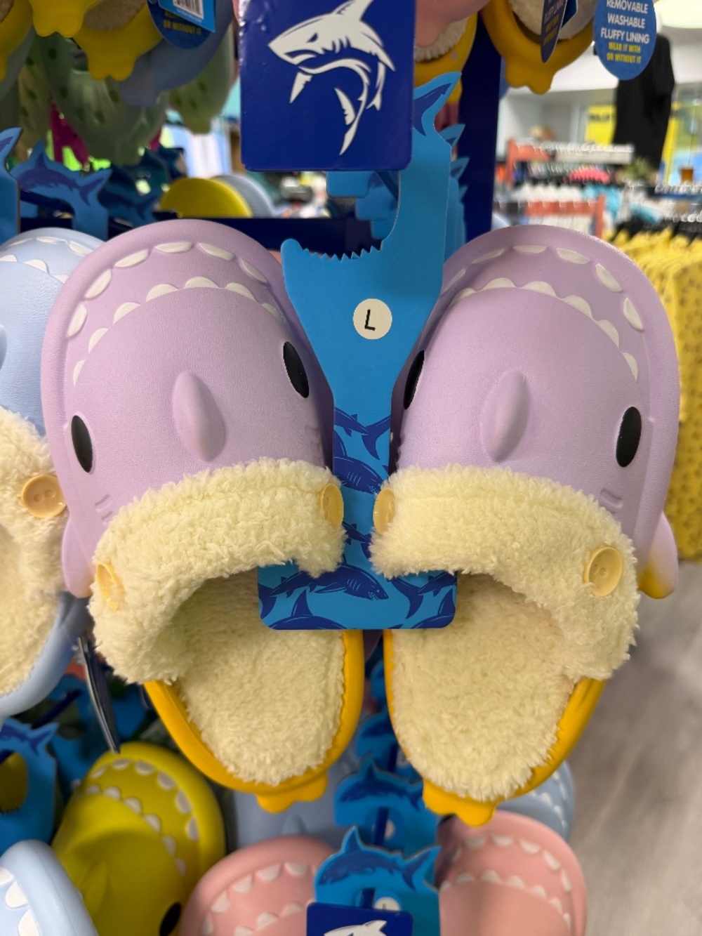 Youth Shark Slides NWT